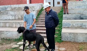 Surco: familia se reencuentra con Figo, su perrito perdido durante 4 años