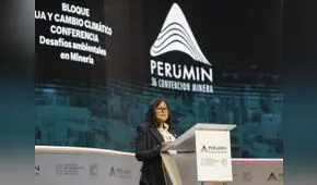 Ministra del Ambiente afirmó que 20% de los efectos del cambio climático provienen de minería