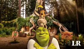 ¡Duerme como Shrek! ¿Dónde está y cuánto cuesta hospedarse en el pantano del ogro en Airbnb?