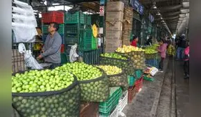 Precio del limón se sitúa alrededor de los S/9 el kilogramo al por mayor