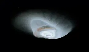 Video de la NASA muestra cómo se formaron los anillos de Saturno tras el choque de 2 lunas