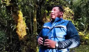 Salvando al picaflor maravilloso de los Andes