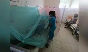 Buscan prevenir muertes por dengue en el norte del país