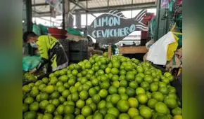 Precio mayorista del limón ha caído hasta 54% en lo que va de octubre