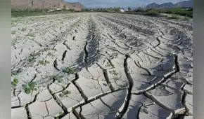 FAO: se han perdido US$3,8 billones en cultivos y ganado por catástrofes en los ultimos 30 años