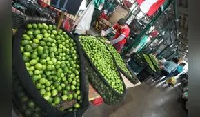 Precio del limón al por mayor retrocede hasta 64% en las dos primeras semanas de octubre