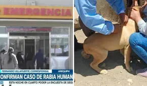 Arequipa: mujer que contrajo rabia humana se encuentra en UCI y con respirador artificial