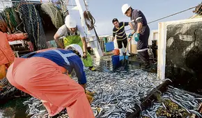 Avanza pesca exploratoria en favor de la industria