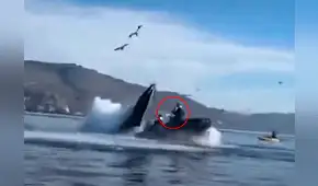 Impresionantes imágenes de la vez que una ballena se tragó a 2 mujeres y las expulsó ilesas Impresionantes imágenes de la vez que una ballena se tragó a 2 mujeres y las expulsó ilesas