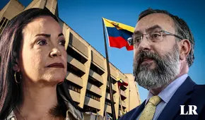 ¿Qué pasará con la Primaria 2023 y qué debe hacer la CNP ante la decisión del TSJ?