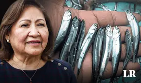 Produce: No se modificará talla mínima de anchoveta ni se aumentará cuota de pesca