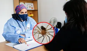 Hospital Cayetano Heredia: especialistas salvan a menor con caso grave de mordedura de araña