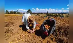 Productores agropecuarios demandan la creación de Reactiva Agrícola para afrontar la crisis