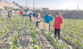 Propuestas focalizadas para reactivar la agricultura familiar