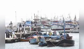 Pescadores de anchoveta en crisis solicitan ayuda en Piura