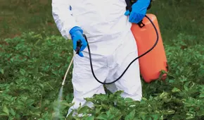 Los plaguicidas, nuestro nuevo condimento, por Juan Carlos Soto