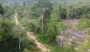 La urgencia de lograr la sostenibilidad de la conectividad vial amazónica en un contexto de crisis climática mundial