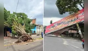 Fuertes vientos destruyen casas y provocan caída de árboles en Loreto
