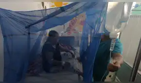 Piura registra 147 muertos por dengue y temen aumento