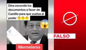 Boluarte no esconde “archivo confidencial” de la ONU que restituiría a Pedro Castillo en la presidencia