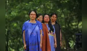 Las viudas y el músico