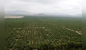 En enero de 2024 se sabrá qué país ejecutará obras de III etapa de Chavimochic