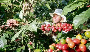 Desastres naturales causan pérdidas de US$123.000 millones al año, según la FAO