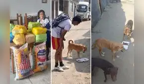 Escolares reciclan botellas y latas para costear curaciones y comida de animales callejeros en Trujillo Escolares reciclan botellas y latas para costear curaciones y comida de animales callejeros en Trujillo