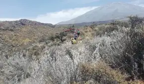 Logran controlar cuatro incendios forestales en la región Arequipa Logran controlar cuatro incendios forestales en la región Arequipa