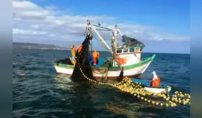 Mónica Saavedra Chumbe es la nueva jefa del Sanipes Mónica Saavedra Chumbe es la nueva jefa del Sanipes
