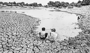 COP28 y Ley Forestal: autogol peruano, por Beatriz Salazar