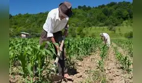 Sector agropecuario cayó en 4% para octubre, el rendimiento más bajo en 30 años Sector agropecuario cayó en 4% para octubre, el rendimiento más bajo en 30 años