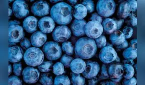 FAO: comercio mundial de berries superó al de plátanos en 2022, con los arándanos a la cabeza