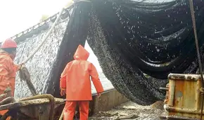 Segunda temporada de pesca: 360.660 toneladas son juveniles