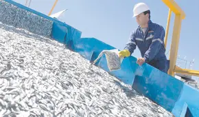 Pesca de anchoveta registra más de 100 áreas cerradas