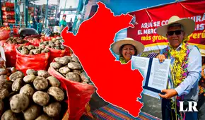 El mercado mayorista más grande del Perú no estará en Lima: ¿en qué ciudad estará ubicado? El mercado mayorista más grande del Perú no estará en Lima: ¿en qué ciudad estará ubicado?