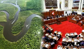 Especialistas sobre Ley Forestal en el Congreso: “Nuestras autoridades están regalando el Perú”