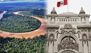 Ley Forestal: ¿de qué trata la norma que el Congreso aprobó y que promueve la deforestación?