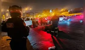 Caballo de la PNP muere tras chocar con vehículo por huir de pirotécnicos en Noche Blanquiazul