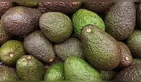 La palta Hass del Perú podrá llegar a los mercados de Malasia, anuncia Midagri