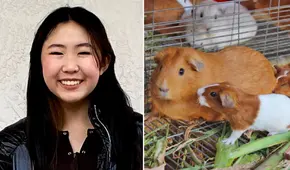 ¿Cómo ganar más de US$400.000 vendiendo jaulas para cuyes? conoce la historia de Bella Lin