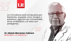 Microbiota intestinal, por Dr. Moisés Barrantes Cabrera