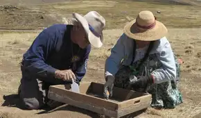 Los primeros habitantes de los Andes peruanos consumían más vegetales que carne, revela estudio