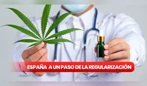 Cannabis medicinal en España: ¿cuáles serán los nuevos cambios en 2024?