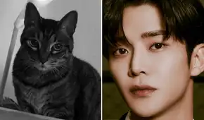 Rowoon le dice adiós a su gato tras 18 años juntos: "Cuando llegue mi hora ven a mi encuentro" Rowoon le dice adiós a su gato tras 18 años juntos: "Cuando llegue mi hora ven a mi encuentro"
