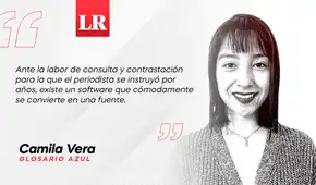 ChatGPT, describe a un periodista frustrado, por Camila Vera ChatGPT, describe a un periodista frustrado, por Camila Vera