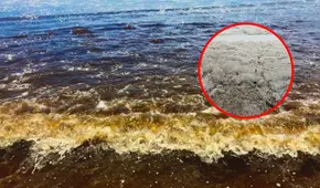 Extraña coloración marrón aparece en el mar desde Pisco hasta Chimbote: ¿a qué se debe este fenómeno?