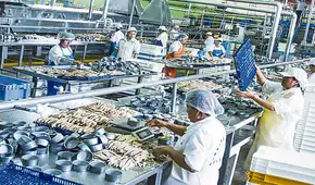 Economía peruana cae 0,55% en 2023 y se confirma mayor retroceso en 31 años
