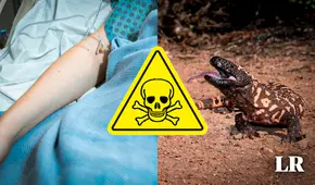 ¡Mordido por un monstruo de Gila! Hombre de 34 años muere al ser atacado por su mascota