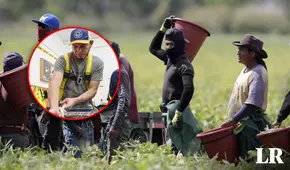 Era contador en Venezuela, pero en Estados Unidos no logra encontrar trabajo: los obstáculos laborales para migrantes